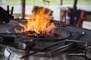 探索与创新，南宁职业技术学院学报的学术影响力与未来展望