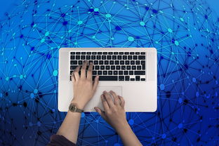 得物发布全员信,精简5%左右人员,聚焦核心业务与长期发展 得物发布全员信,精简5%左右人员,聚焦核心业务与长期发展