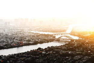 中国科学学报，引领科研创新的航标与桥梁——深度解析与展望