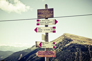 中国农业科学的砥砺前行,创新引领,绿色转型 中国农业科学的砥砺前行,创新引领,绿色转型