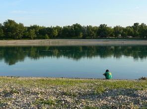 全面指南，如何高效提交与优化万方论文投稿过程