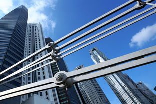 金色年华,岁月的璀璨篇章——追溯一份杂志的历史与影响 金色年华,岁月的璀璨篇章——追溯一份杂志的历史与影响