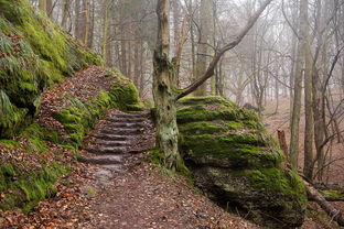 探索智慧的宝库，中国传统文化答题库的魅力与应用