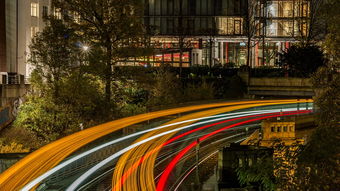 信达领先基金净值走势全解析：如何稳健增值与规避风险