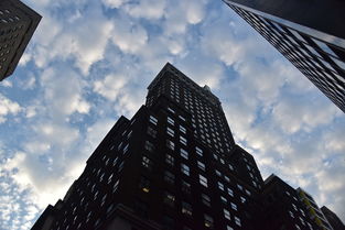 探索未来通信的新里程，深度解析光通信研究的前沿与应用