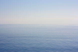 湖南奇景,桥上蜉蝣漫天飞舞,如梦似幻如下雪