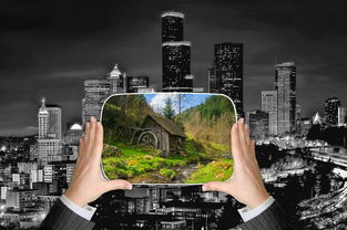 城市环境设计，构建绿色、智慧与人文的未来城市空间