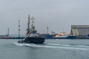 美媒爆料,亿万富翁隐秘企图——试图买下美国大选 美媒爆料,亿万富翁隐秘企图——试图买下美国大选