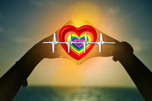 生活与健康的和谐共舞，追求卓越与身心健康并重的现代启示