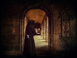 三只羊公司全额缴纳6894万罚款,诚信经营与企业责任的深刻体现 三只羊公司全额缴纳6894万罚款,诚信经营与企业责任的深刻体现