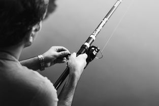 探索鉴黄师,职业的边界与伦理挑战 探索鉴黄师,职业的边界与伦理挑战