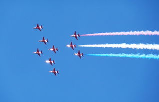 客机飞行中发现老鼠，紧急备降兰州，一场公共卫生安全的考验