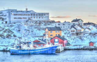 掌握未来守护者，深入了解科兴中维疫苗的科学与效能
