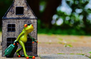 幽默与笑话,点亮生活中的欢笑之光 幽默与笑话,点亮生活中的欢笑之光