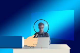 荣耀畅玩30，值得购买的性价SSID解析