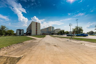 华为与vivo,耐用性较量,谁是你的持久守护者? 华为与vivo,耐用性较量,谁是你的持久守护者?