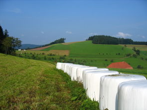 湖南一地放开秸秆焚烧?当地回应揭开真相 湖南一地放开秸秆焚烧?当地回应揭开真相