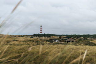 特朗普,俄乌立即停火时机已成熟——和平的曙光初现? 特朗普,俄乌立即停火时机已成熟——和平的曙光初现?