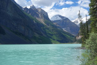 华为P9与P9 Plus,双生花的微妙差异 华为P9与P9 Plus,双生花的微妙差异