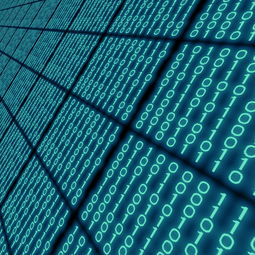 探讨与前瞻，深度解析信息安全领域的最新论文动态