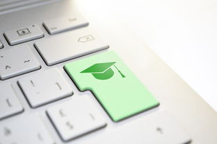 中国语文网，传承与创新的语文教育平台