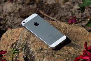 2023年购买vivo手机,你需要了解的最新热门机型与选择指南 2023年购买vivo手机,你需要了解的最新热门机型与选择指南