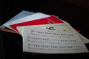 探讨政治小论文的撰写范例,深度解析与实践指导 探讨政治小论文的撰写范例,深度解析与实践指导