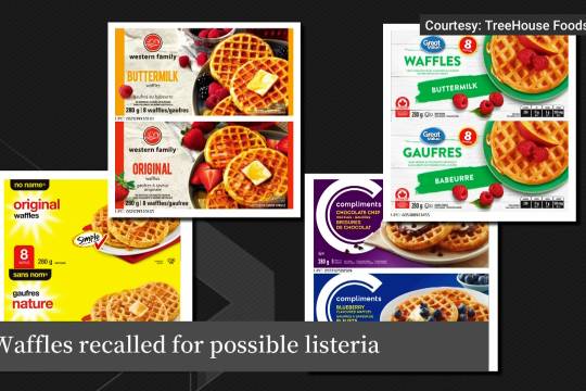 教条主义与经验主义,思想的枷锁与实践的灯塔 教条主义与经验主义,思想的枷锁与实践的灯塔