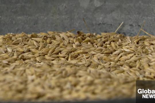 深入了解本土新增病例,昨日新增59例的分析与应对 深入了解本土新增病例,昨日新增59例的分析与应对