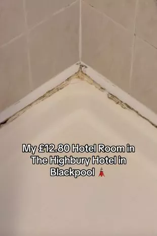 女子露营烤牛肉被牛群吃光,一场意外的露营奇遇与野外生存启示 女子露营烤牛肉被牛群吃光,一场意外的露营奇遇与野外生存启示