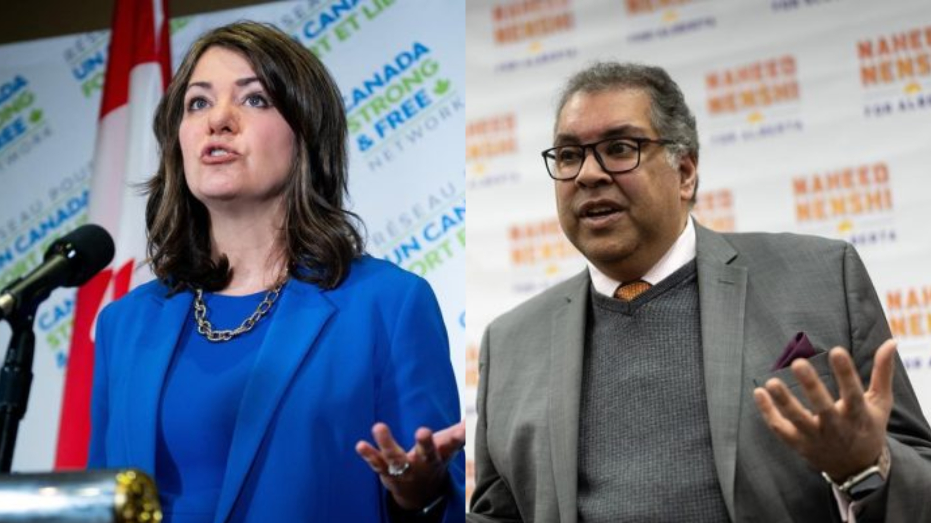 解锁农田的智慧宝藏,磷肥与复合肥的深度解析 解锁农田的智慧宝藏,磷肥与复合肥的深度解析