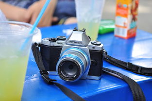 全面解析尼康相机价格表,从入门到专业,满足各类摄影需求 全面解析尼康相机价格表,从入门到专业,满足各类摄影需求