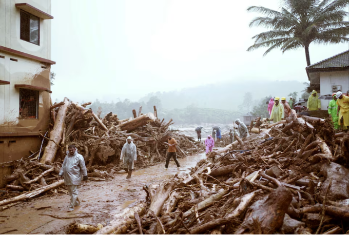 探索肠道健康守护神—纽曼思益生菌,一场微观的肠道革命 探索肠道健康守护神—纽曼思益生菌,一场微观的肠道革命