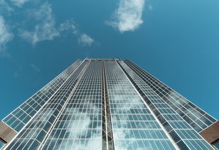 深度探索，以情报学视角解读信息时代的投稿策略与未来趋势