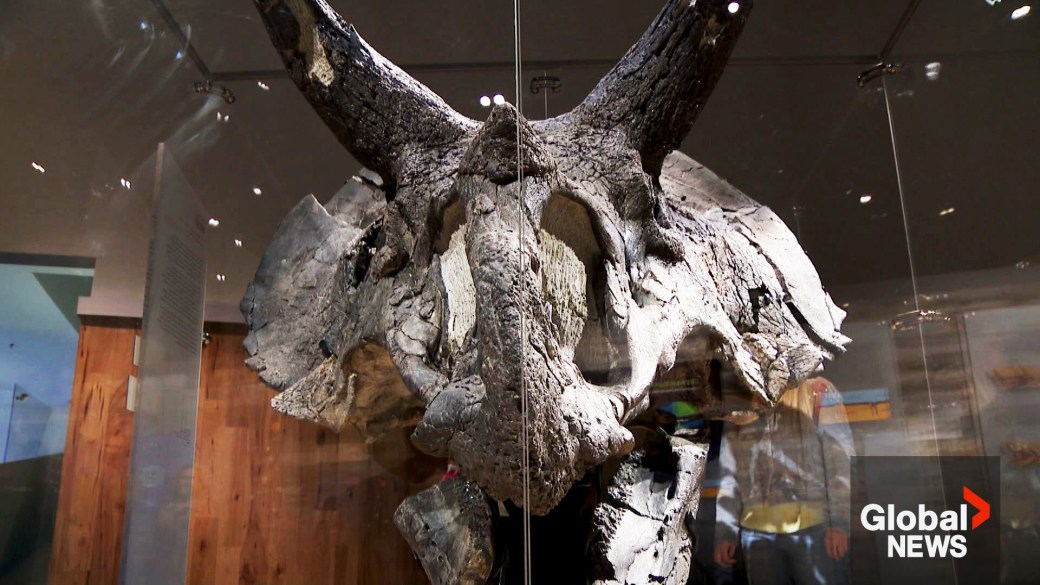 解锁中兴U218，全方位指南与实用攻略