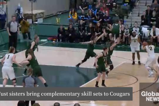 探索中华优秀传统文化，简答题中的深邃智慧