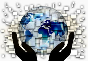 美国大选结果对全世界有什么影响 美国大选结果对全世界有什么影响