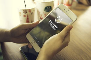 索爱手机，品牌定位与市场档次探析