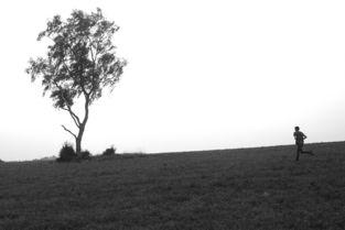 揭秘全球军事动态的知识绿洲，探索世界军事网的深度与魅力