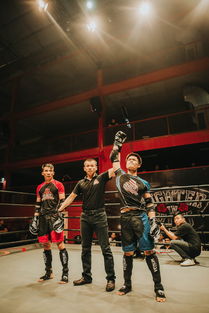 赛后球迷摇旗高喊继续战斗,激情不灭,梦想永燃 赛后球迷摇旗高喊继续战斗,激情不灭,梦想永燃