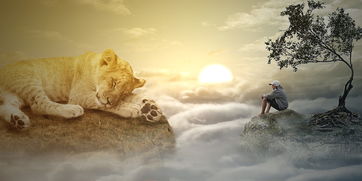 拥抱心灵晴天，走进心理健康论文的温馨探秘