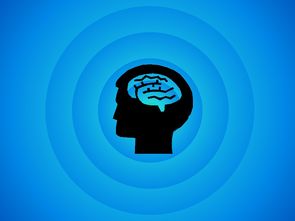 智慧的引擎，探索思维的力量与无尽可能