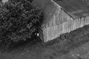 小孩哥竟然在酒店窗台发现化石,一场意外的科学探险 小孩哥竟然在酒店窗台发现化石,一场意外的科学探险