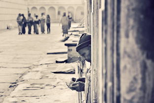 探索异域文化的瑰宝,走进外国文学的迷人世界 探索异域文化的瑰宝,走进外国文学的迷人世界