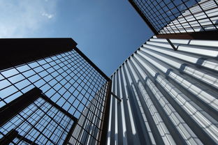 业内，A股即将进入新周期 —— 股市的春天再次绽放