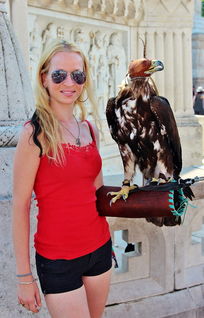 12306停运调整,最新动态与应对策略全解析 12306停运调整,最新动态与应对策略全解析