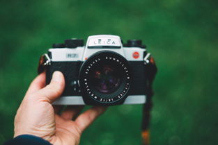 深度解析,掌握尼康D5600全面参数,开启摄影新旅程 深度解析,掌握尼康D5600全面参数,开启摄影新旅程