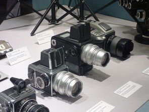 探索佳能相机世界的璀璨明珠,挑选你的完美拍档 探索佳能相机世界的璀璨明珠,挑选你的完美拍档