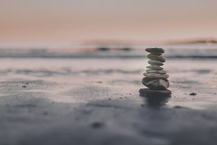 青岛一海域螃蟹扎堆,海洋奇观与生态平衡的启示 青岛一海域螃蟹扎堆,海洋奇观与生态平衡的启示