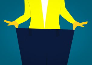 荣耀手机家族大揭秘,哪个系列才是你的最佳伙伴? 荣耀手机家族大揭秘,哪个系列才是你的最佳伙伴?